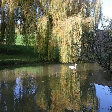 Le Clos Des Cygnes Charolles Exteriér fotografie