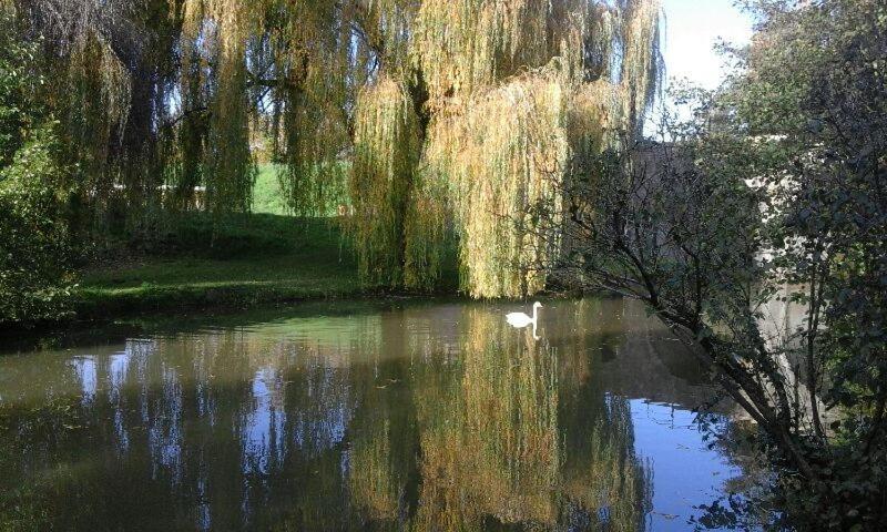 Le Clos Des Cygnes Charolles Exteriér fotografie